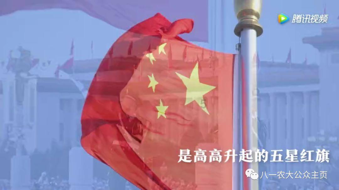 虫虫助手下载